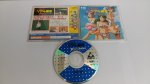 Pc-Engine CD: Super Real Mahjong PII 2.III 3